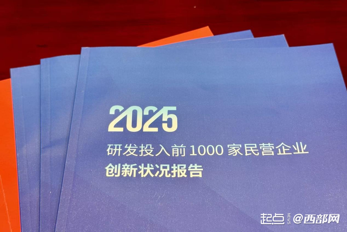 《2025研发投入前1000家民营企业创新状况报告》发布