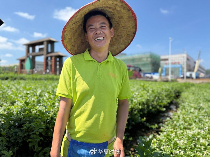 雷少学一边摘花，一边和记者聊天。