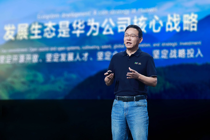 （华为常务董事汪涛 图源：华为）