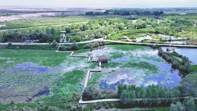 图说：上海援建的金湖杨景区美如画（资料图）。摄影曹博文（下同，特殊标注外）