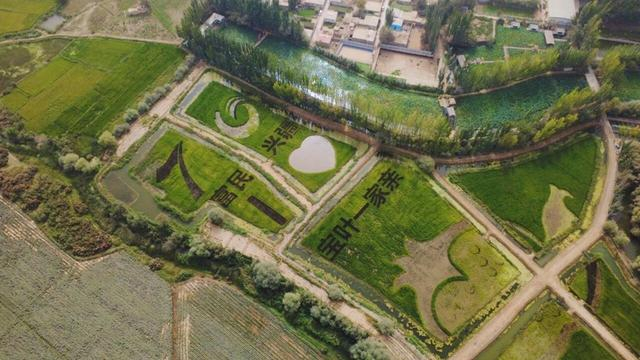 图说：上海援疆在叶城县推动农旅融合发展，图为夏合甫乡“稻虾共作”的生态农田。摄影陈悦蛟