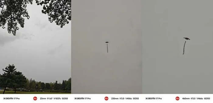 图源：不客观实验室
