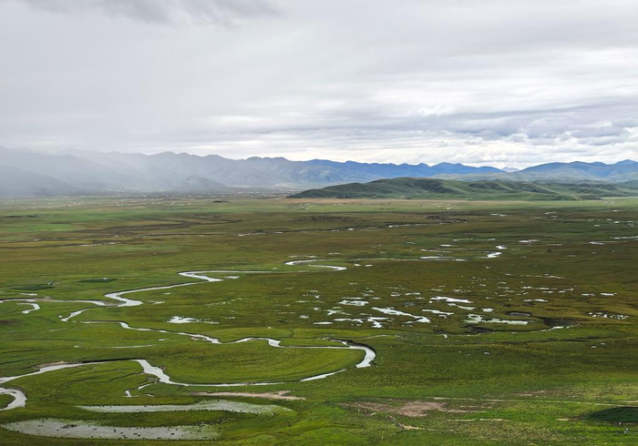 ??甘肅省瑪曲縣阿萬倉濕地。新華社記者 姜偉超 攝