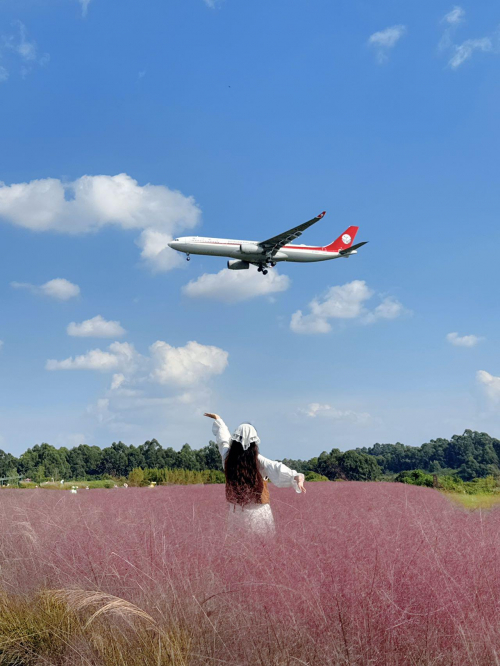 注:部分图片来源网络,侵删