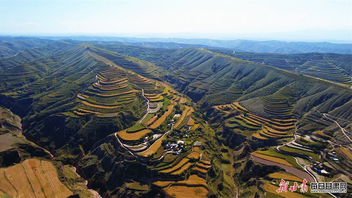 2萬余畝雜糧豐收 榆中寒旱農業(yè)交出“金色答卷”