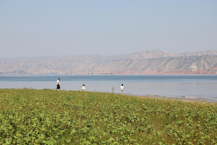 ??游客在東風(fēng)村“黃河三灣”景區(qū)游玩。新華社記者 馬莎 攝
