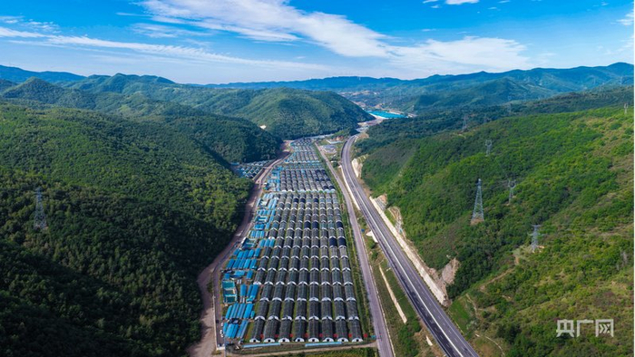 中阳拥有全国单体规模最大的木耳种植基地（央广网记者  张洁  摄）