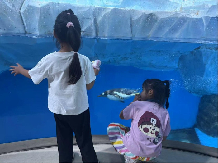 青岛极地海洋世界，小朋友在观赏企鹅 图片来源：财联社记者/摄