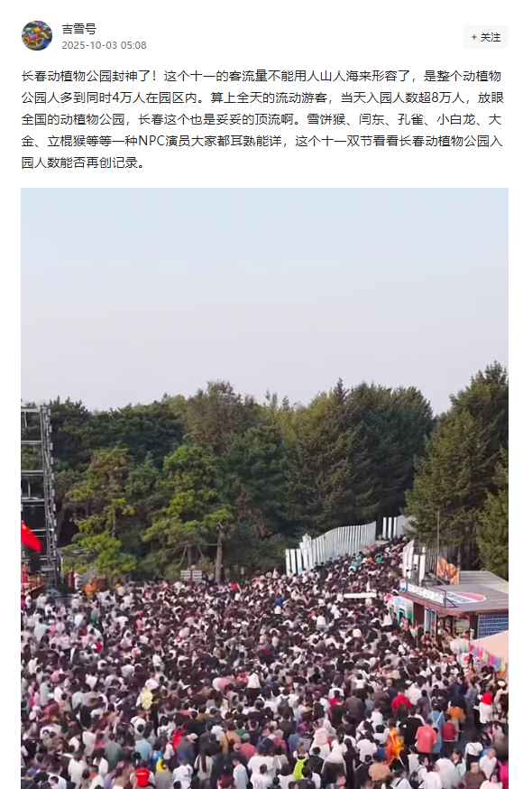 （图片来源:网络截图）