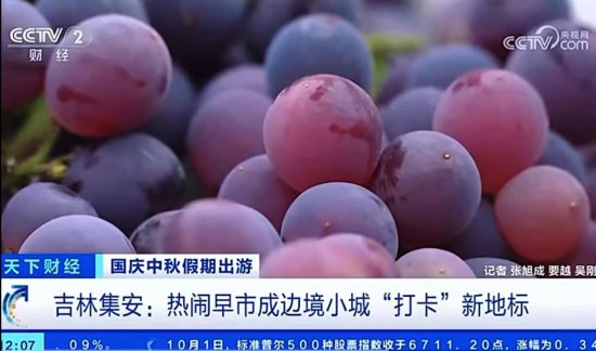 （图片来源：央视截图）