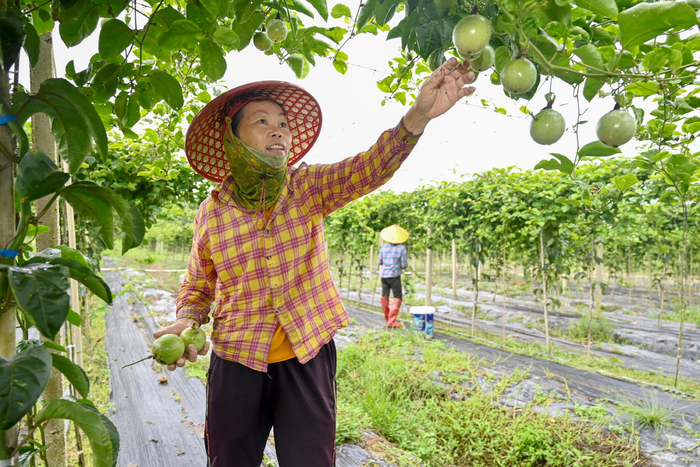 實(shí)施就業(yè)優(yōu)先戰(zhàn)略