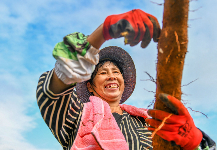 優(yōu)化收入分配結(jié)構(gòu)