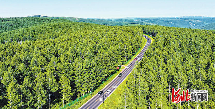 近日航拍的塞罕坝机械林场。 河北日报记者 李佳泽摄