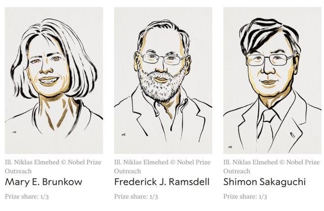 （来源：Nobel Prize）