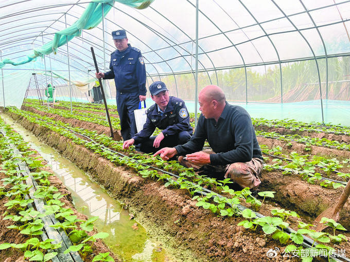 10月3日，河南省鹿邑县公安局唐集派出所民警走访草莓种植户，协助村民排涝护苗。苑磊 摄