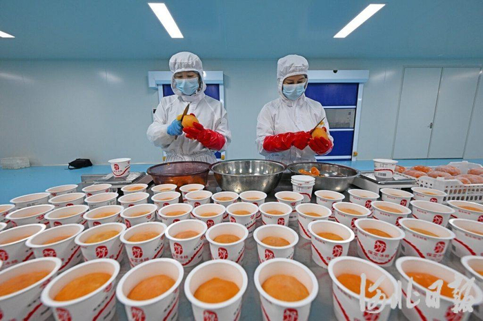 保定沃隆农业发展有限公司，工人在冰柿加工车间生产冰柿产品。（河北日报资料片）河北日报记者张昊摄