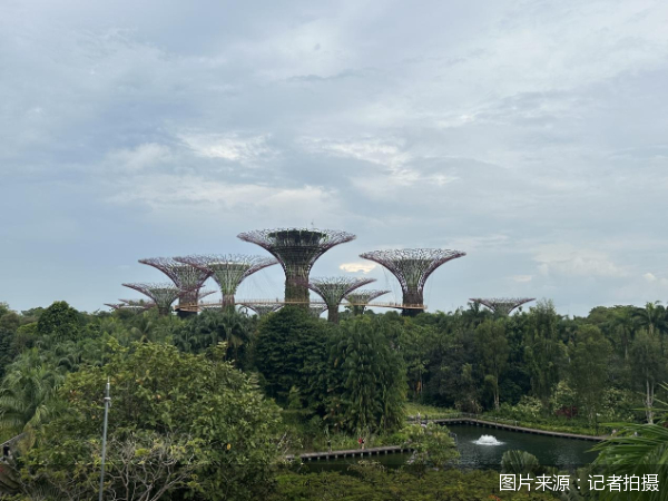 短线自由行成主流