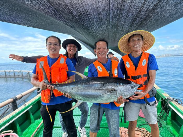 南海所研究團(tuán)隊(duì)展示長(zhǎng)成的黃鰭金槍魚(yú)（央廣網(wǎng)發(fā) 受訪者供圖）