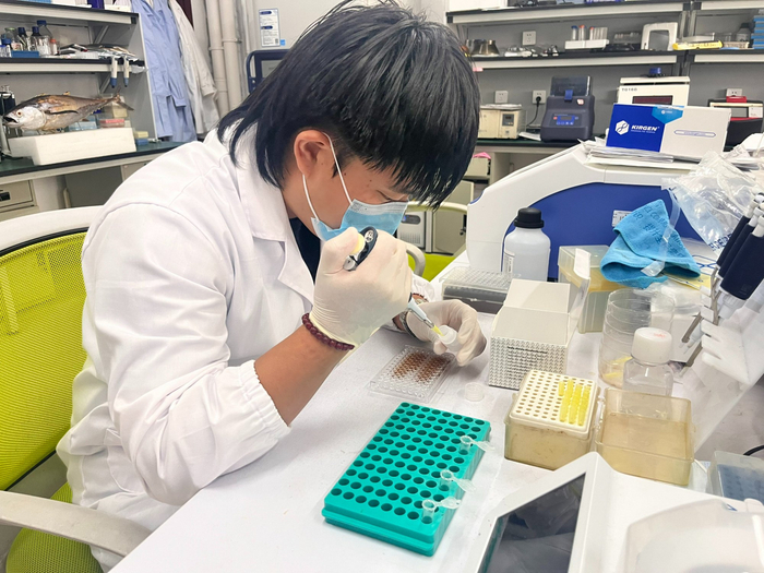 研究人員進(jìn)行實(shí)驗(yàn)（央廣網(wǎng)記者 蔡文娟 攝）