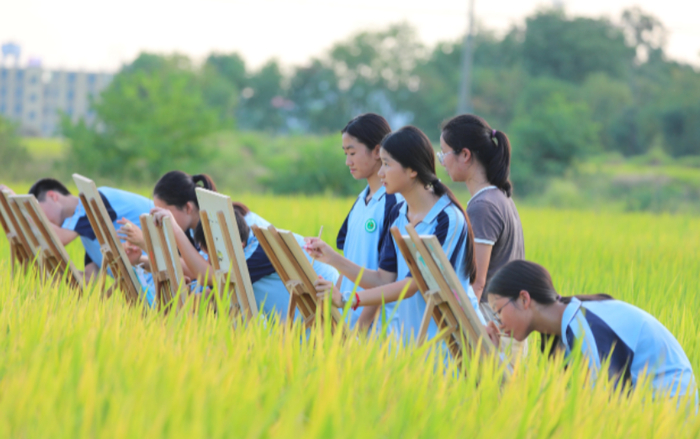 学生正在稻田写生，描绘秋日田园“丰”景，尽享户外大课间的乐趣。通讯员 邓和平 摄