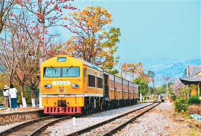 云南建水古城小火車。受訪者供圖