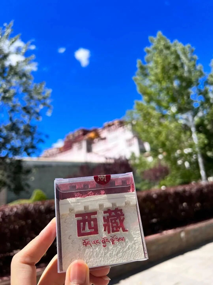 　　（图/阿夏）