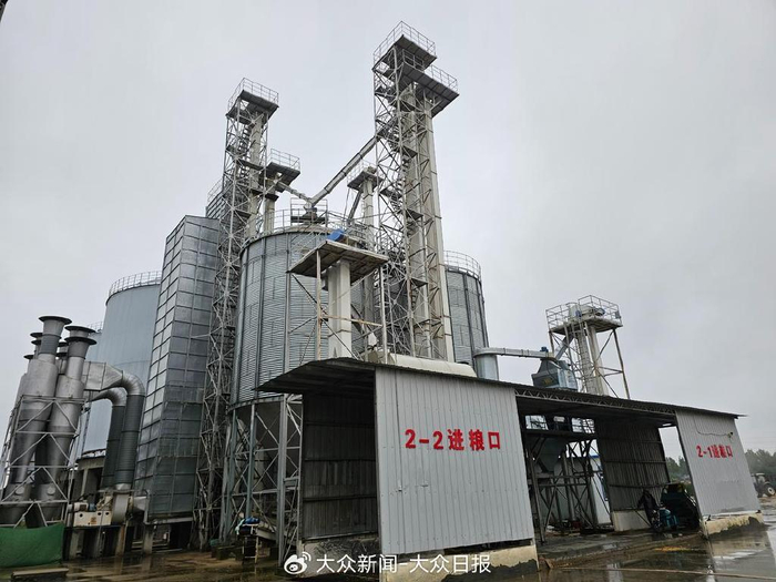 10月9日，平原土地鲁望农业发展有限公司连续式烘干塔正在进行烘干作业。