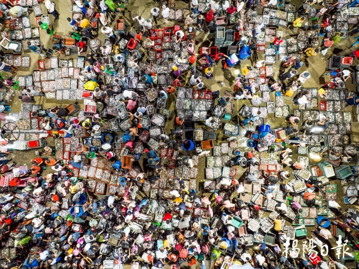码头上的海鲜市场人声鼎沸，刚上岸的鱼虾蟹贝铺满摊位。
