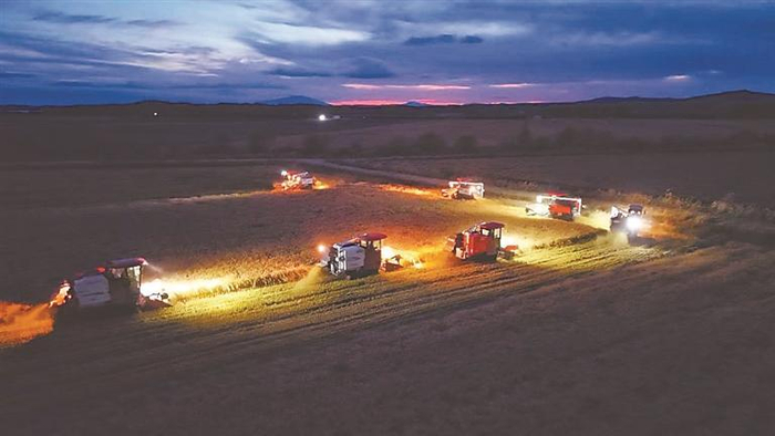 抢收作业现场。