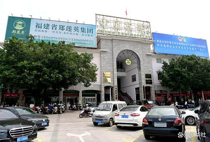 这是位于安溪县的中国茶都茶叶市场（2024年5月8日摄）。新华社记者 魏培全 摄