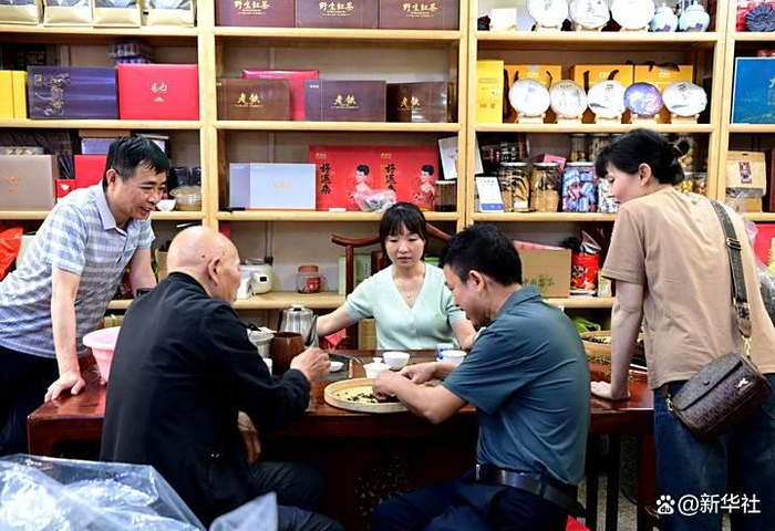 在安溪县的中国茶都茶叶市场，茶商在市场店铺里拣选铁观音毛茶（2024年5月8日摄）。新华社记者 魏培全 摄