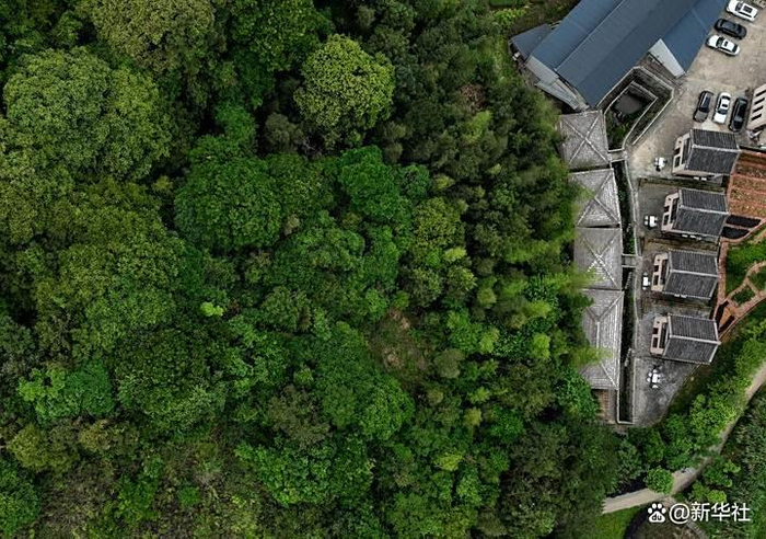 这是安溪县西坪镇的一处生态茶山文旅酒店（2024年5月9日摄，无人机照片）。新华社记者 魏培全 摄