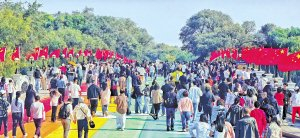 　　太阳岛风景区游人如织。“哈报手机记者” 陶滨摄