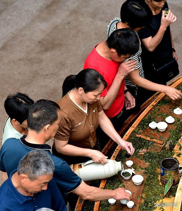在安溪县的中国茶都茶叶市场，茶商在市场拣选铁观音毛茶（2024年5月8日摄）。新华社记者 魏培全 摄