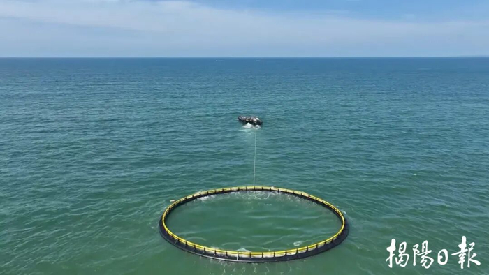 惠来县首批重力式网箱成功下海。