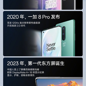 一加 15 发布在即:全球首块 165Hz 高分屏幕,京东方柔性 OLED 新品发布会定档 10 月 14 日|游戏|高分辨率|至尊版|电竞 ...