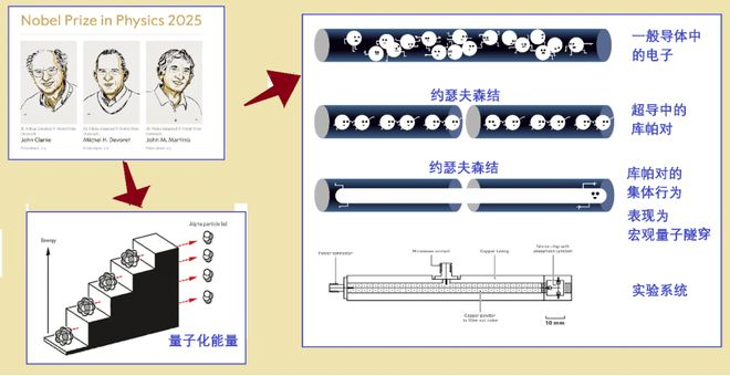 图4：2025年诺奖得主的工作 图片来源：©瑞典皇家科学院