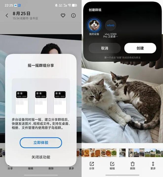  图源：不客观实验室