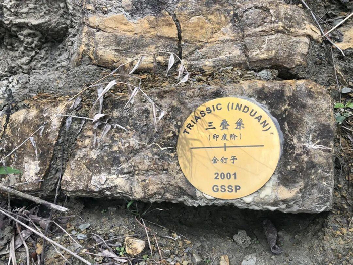 位于浙江长兴县的“金钉子”。沈树忠供图