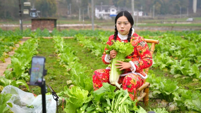 来源：遵义台 湄潭融媒 李晨晨 李正