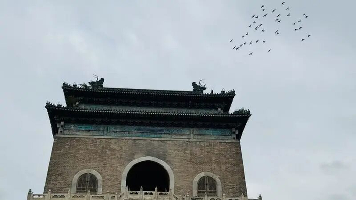 飞鸟略过钟楼/记者拍摄