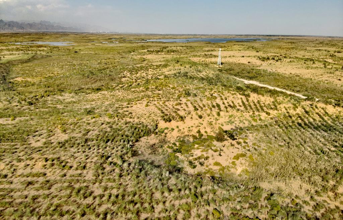 　　乌兰布和沙漠东缘建成防风固沙带。新华社记者 李云平 摄