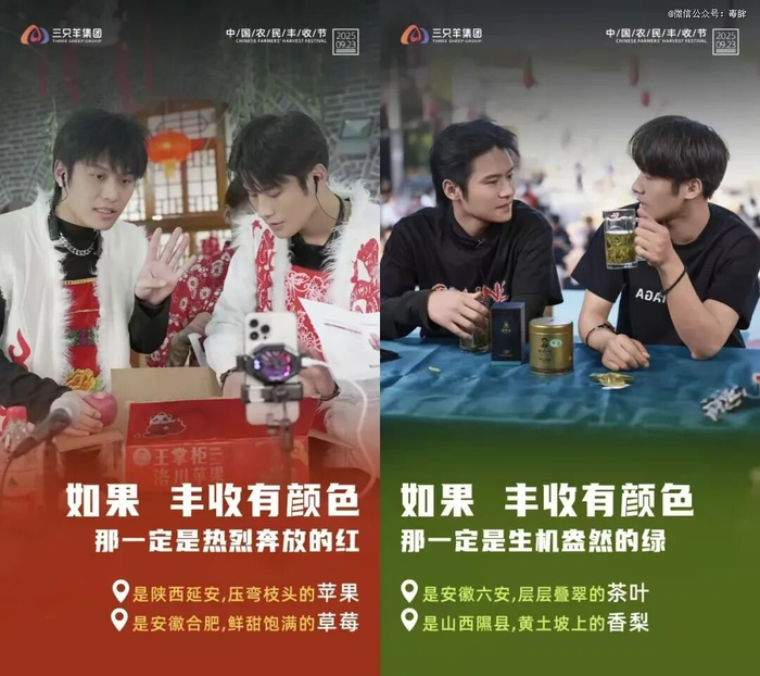 （图源：三只羊网络）