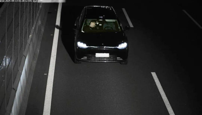 圖源：臨平檢察