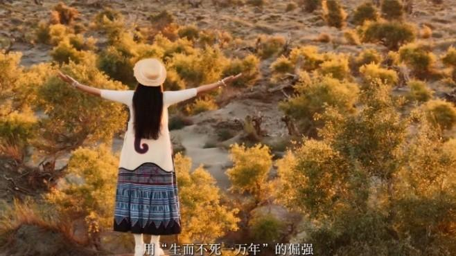 图9 “扶苏旅记“在伊吾胡杨（达人供图）