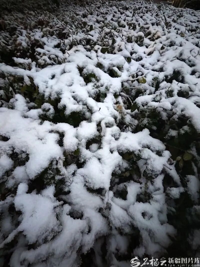 10月15日，乌鲁木齐降下了今秋第一场雪。石榴云/新疆日报记者 秦鹏摄