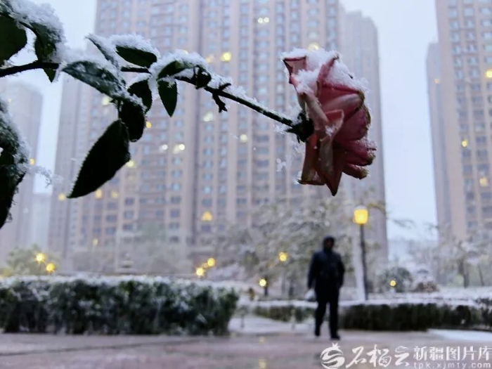 10月15日，在乌鲁木齐市水磨沟区温泉东路123号世界公园2期内，市民踏雪