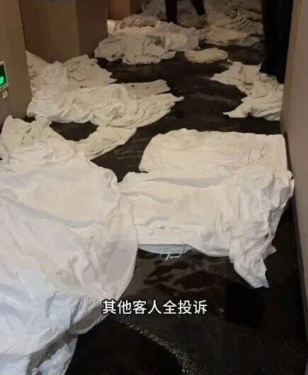 视频截图。图源：安徽经视