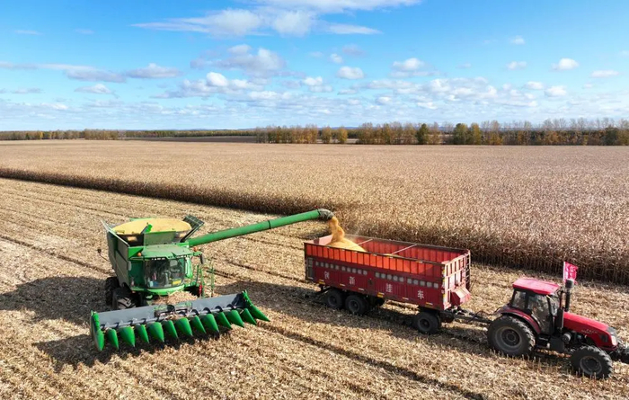 10月8日，在北大荒集团黑龙江格球山农场有限公司玉米地块，农机在卸粮（无人机照片）。新华社发（陆文祥摄）