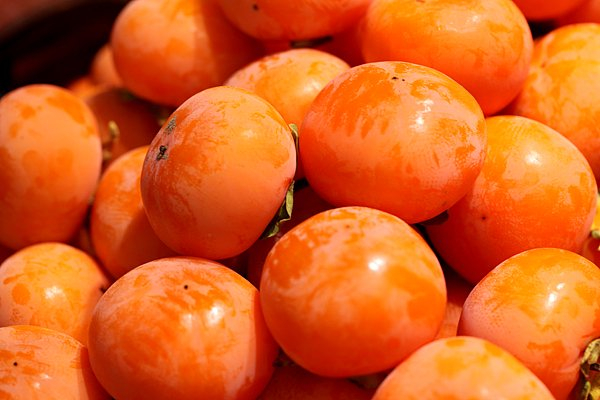 柿子资料图 图源：视觉中国